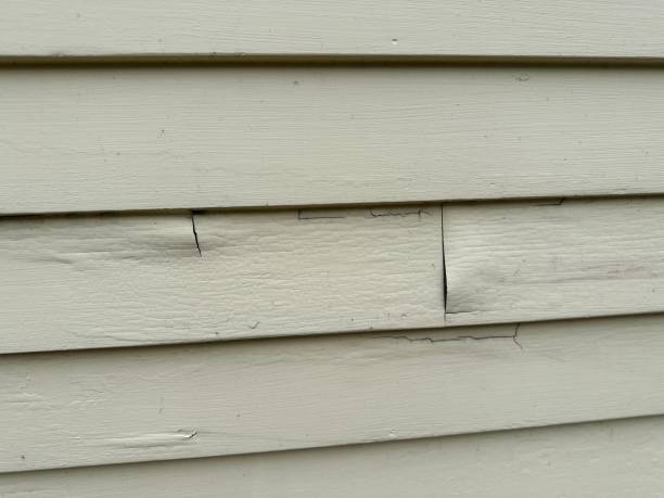 Best Fiber Cement Siding Installation  in Westfield, PA